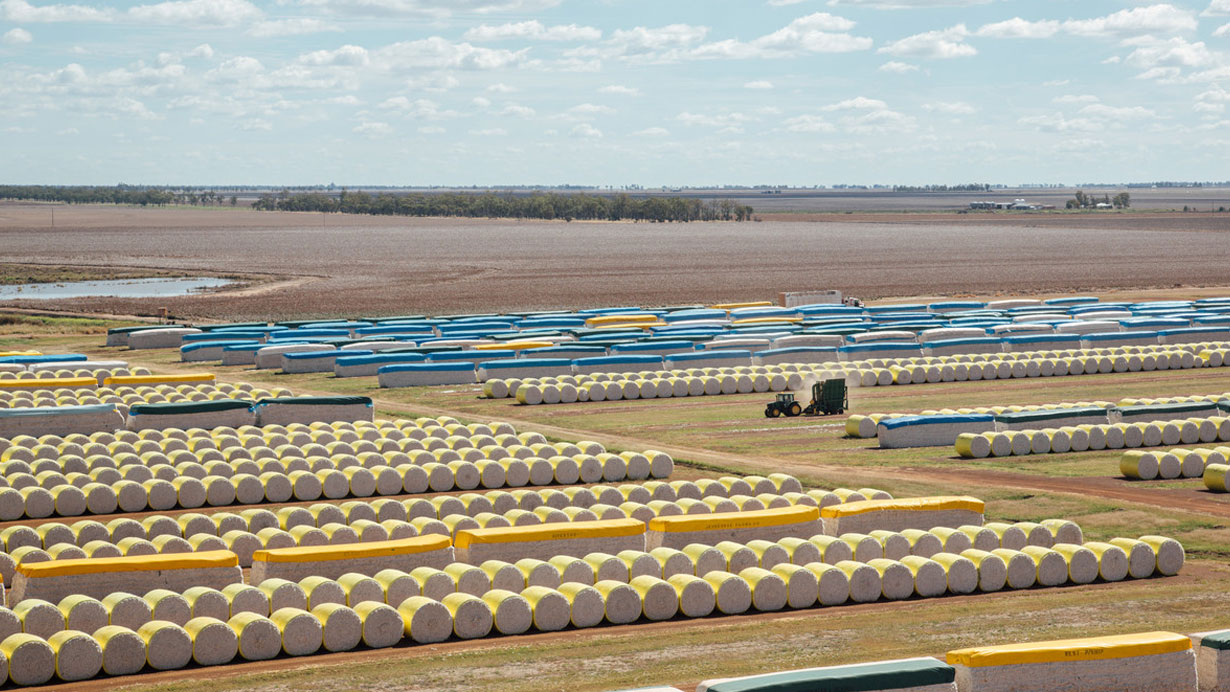 cotton-australia