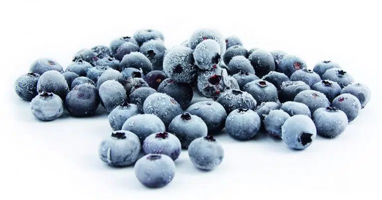 frozen_blaubeeren2-768x402.jpg